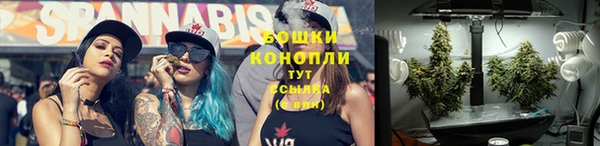 стаф Иннополис