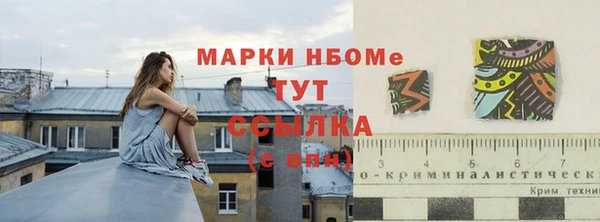 стаф Иннополис