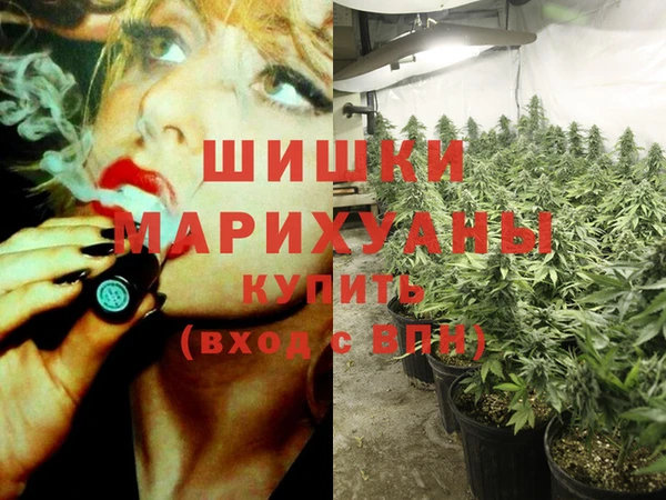 а пвп мука Инсар