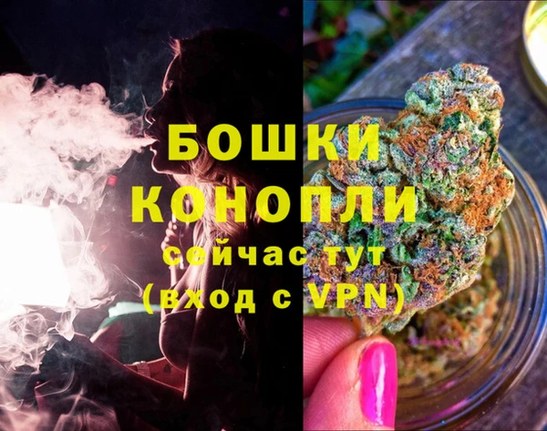 а пвп мука Инсар