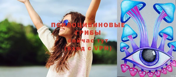 прущая мука Инта
