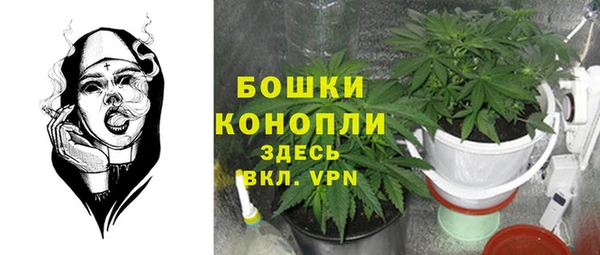 стаф Иннополис