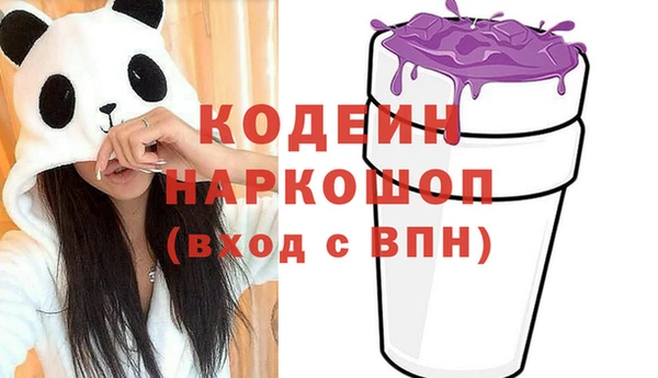 стаф Иннополис